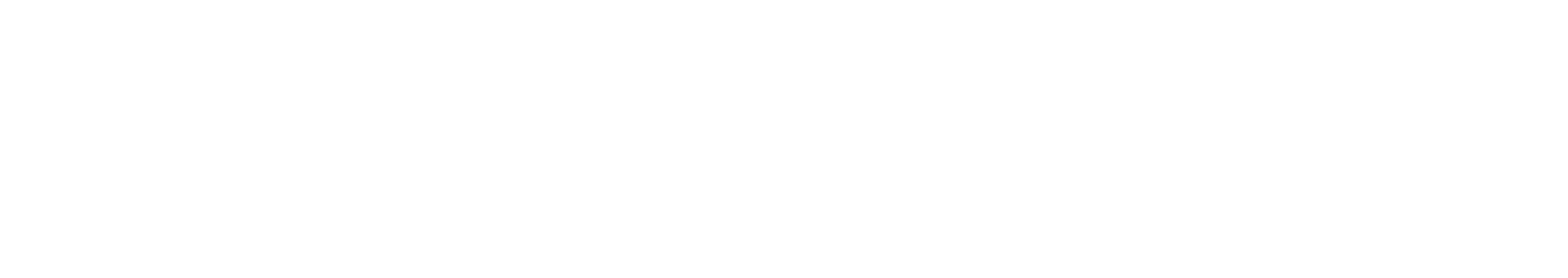 Logo White Kodinus